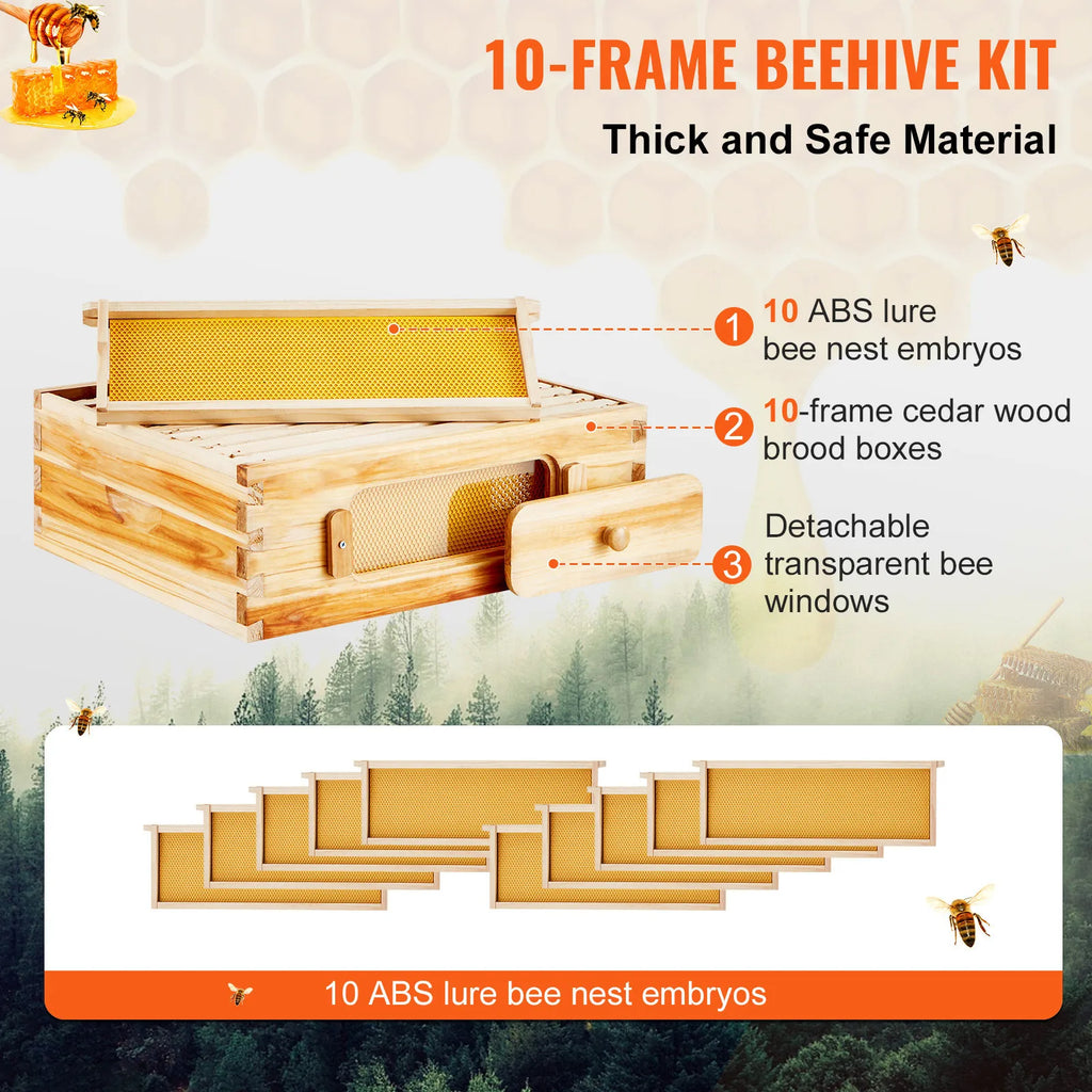 🍯 Langstroth Medium Beehive Kit – 10 Frames with Acrylic Observation Windows