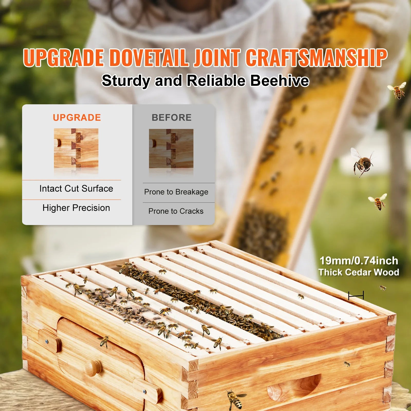 🍯 Langstroth Medium Beehive Kit – 10 Frames with Acrylic Observation Windows