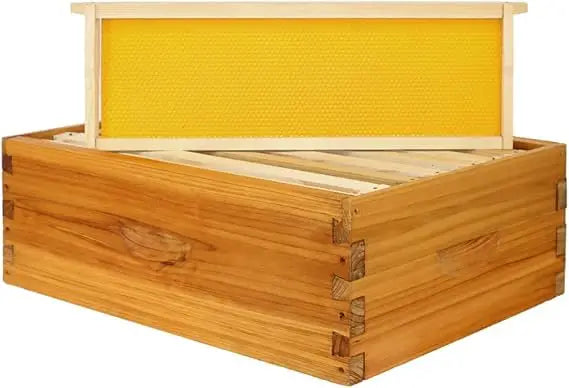 🍯 Medium 8-Frame Beehive Box – Wax-Dipped Frames & Foundation