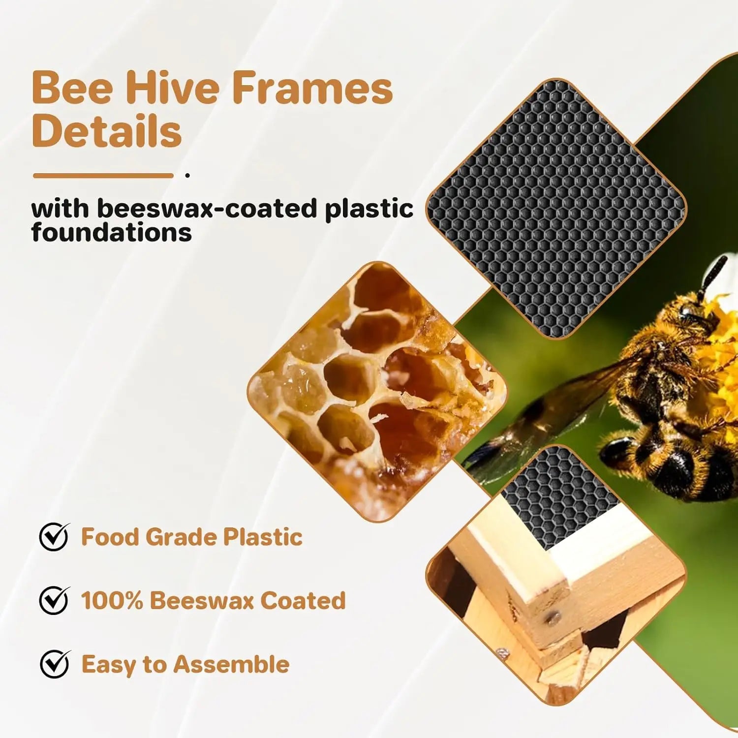 🍯 10-Frame Beehive Starter Kit – Wax-Coated with 1 Deep Brood Box & 1 Medium Super
