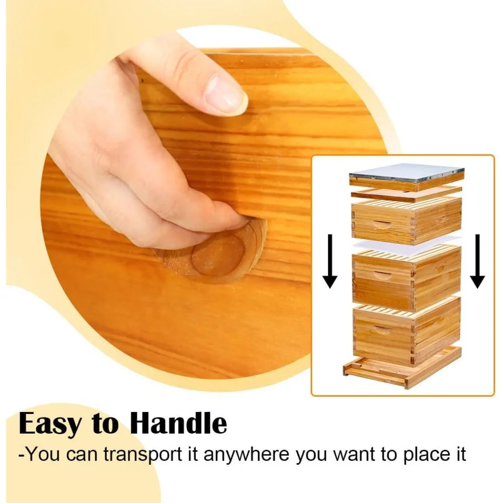 🍯 Medium 8-Frame Beehive Box – Wax-Dipped Frames & Foundation