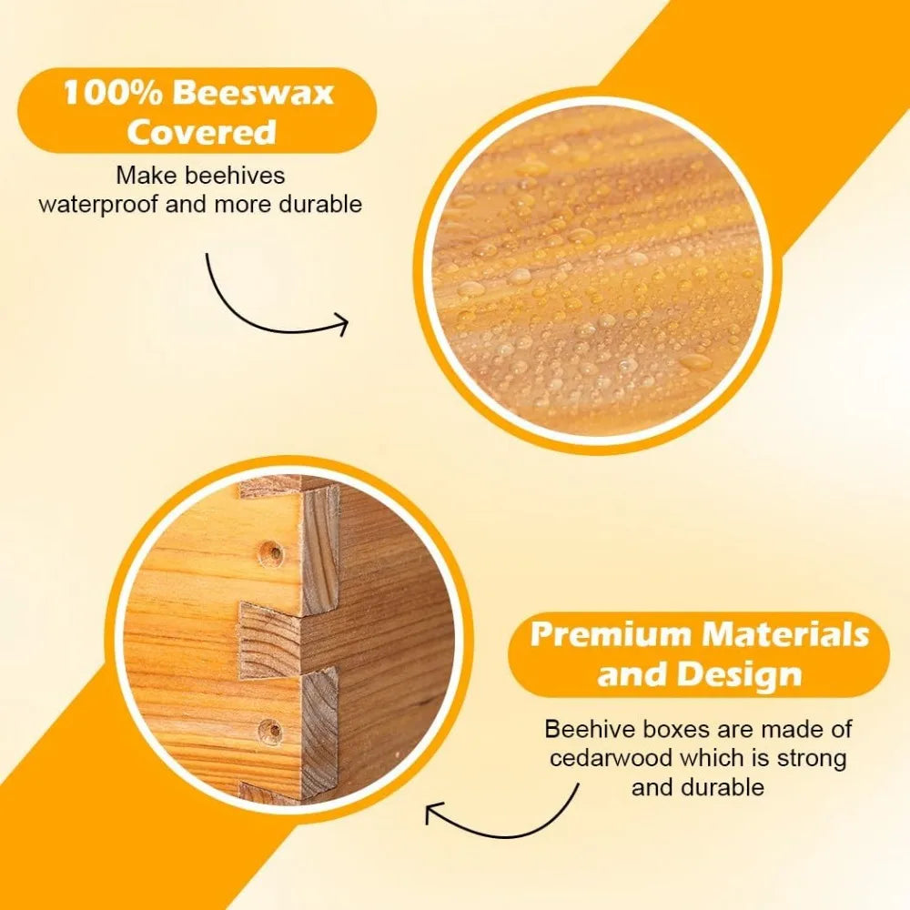 🍯 Medium 8-Frame Beehive Box – Wax-Dipped Frames & Foundation