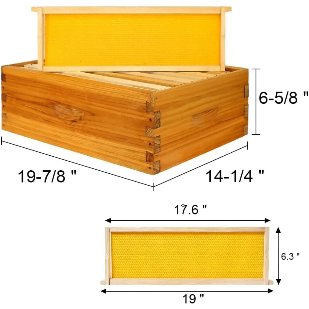 🍯 Medium 8-Frame Beehive Box – Wax-Dipped Frames & Foundation