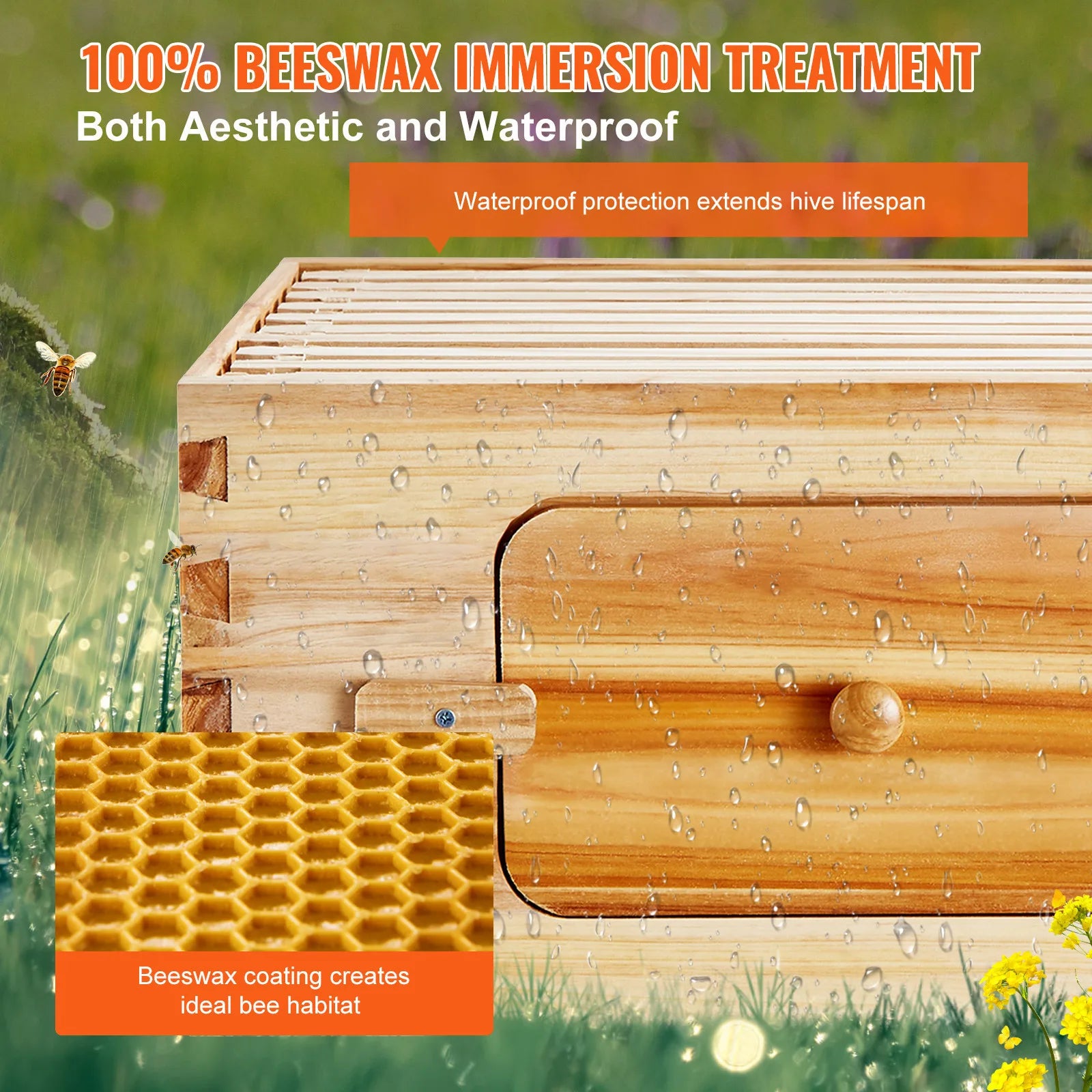 🍯 Langstroth Medium Beehive Kit – 10 Frames with Acrylic Observation Windows