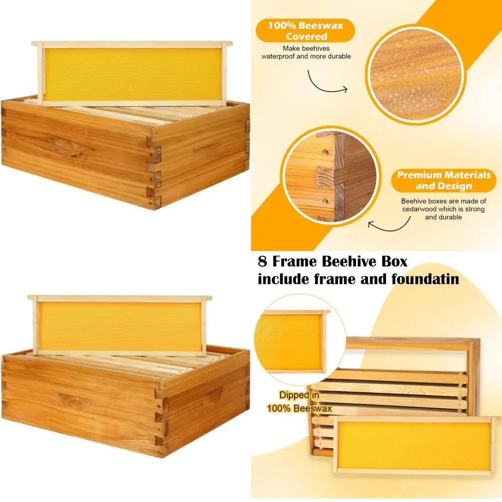 🍯 Medium 8-Frame Beehive Box – Wax-Dipped Frames & Foundation