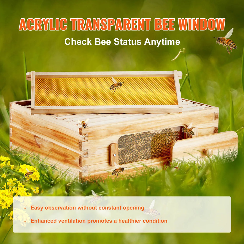🍯 Langstroth Medium Beehive Kit – 10 Frames with Acrylic Observation Windows