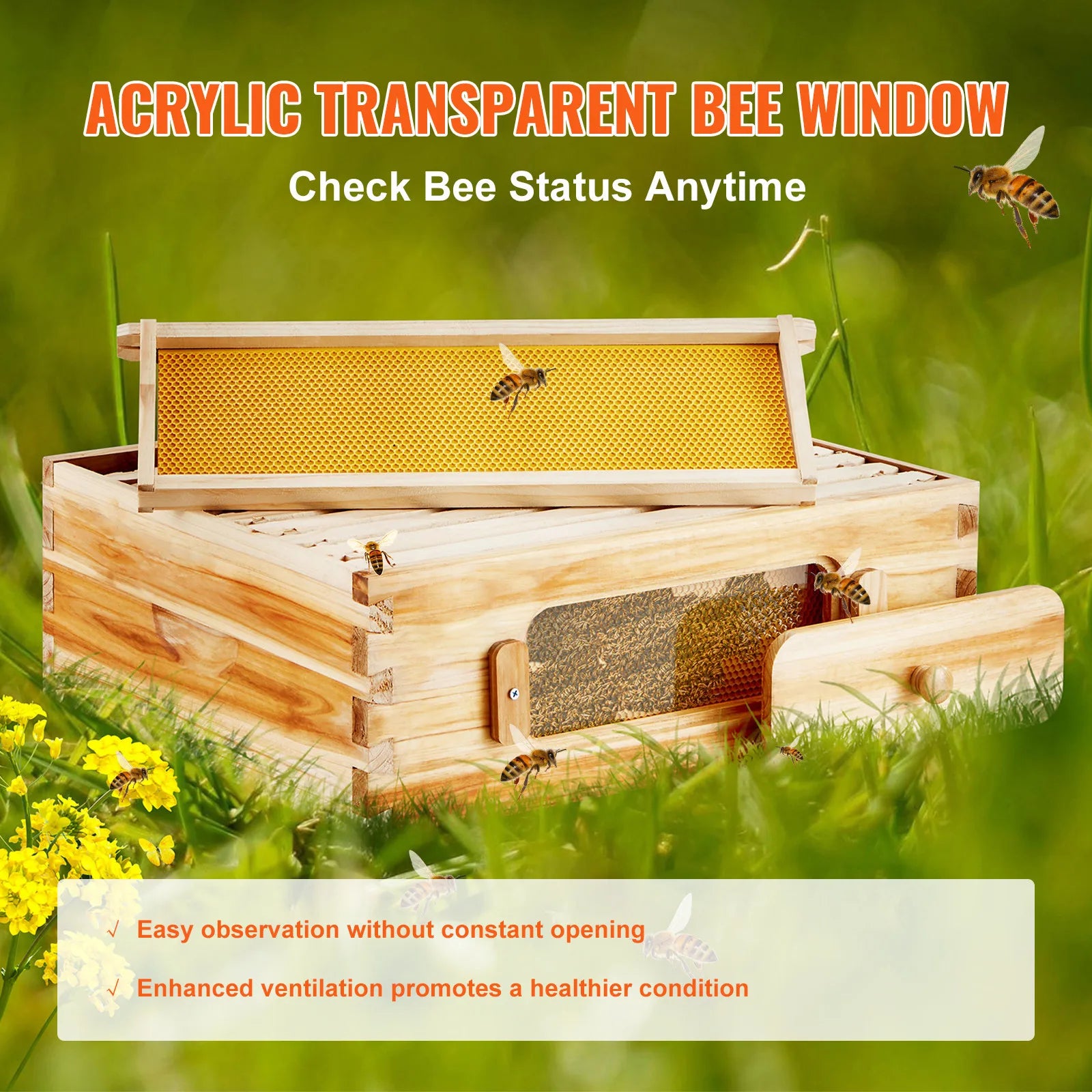 🍯 Langstroth Medium Beehive Kit – 10 Frames with Acrylic Observation Windows