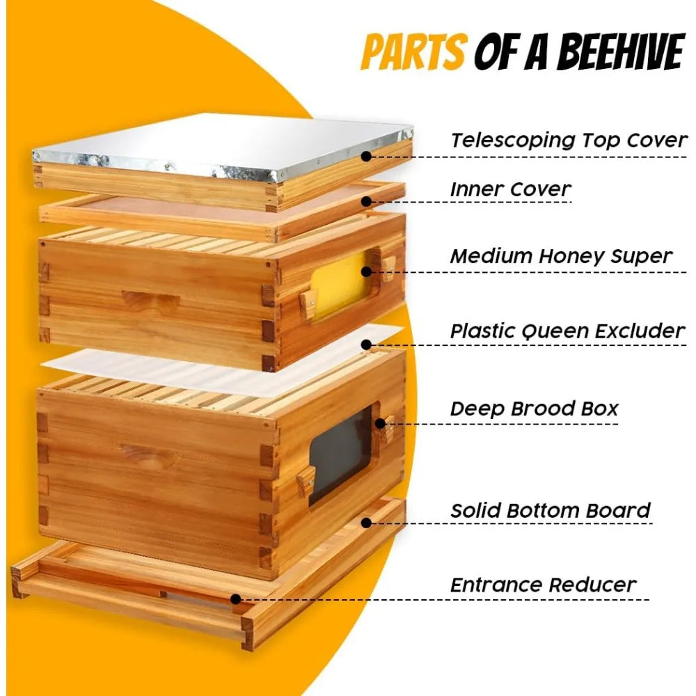 🍯 Honey Lake 10-Frame Langstroth Beehive Kit – Wax-Coated with Observation Windows