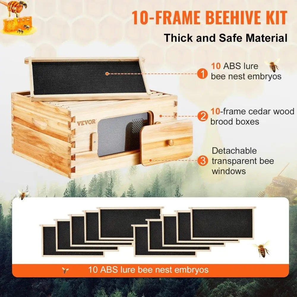 🍯 Deep Box Beehive Starter Kit – 100% Beeswax-Coated Cedar Wood with 10 Frames & Transparent Windows