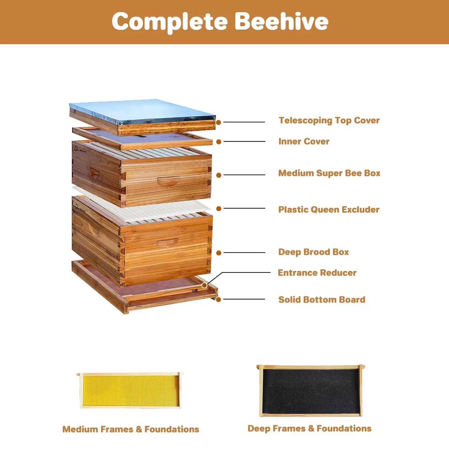 🍯 10-Frame Beehive Starter Kit – Wax-Coated with 1 Deep Brood Box & 1 Medium Super