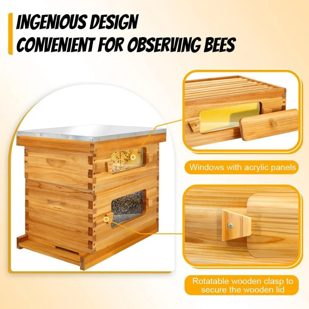 🍯 Honey Lake 10-Frame Langstroth Beehive Kit – Wax-Coated with Observation Windows