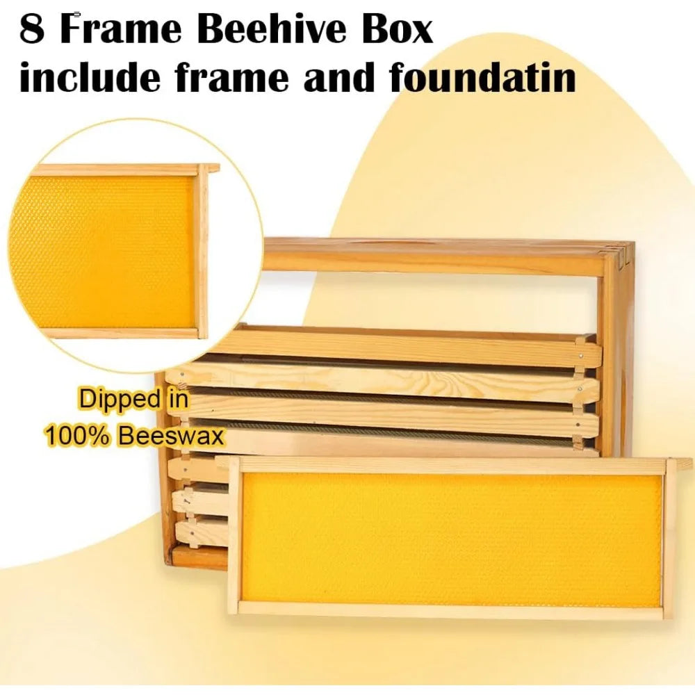 🍯 Medium 8-Frame Beehive Box – Wax-Dipped Frames & Foundation