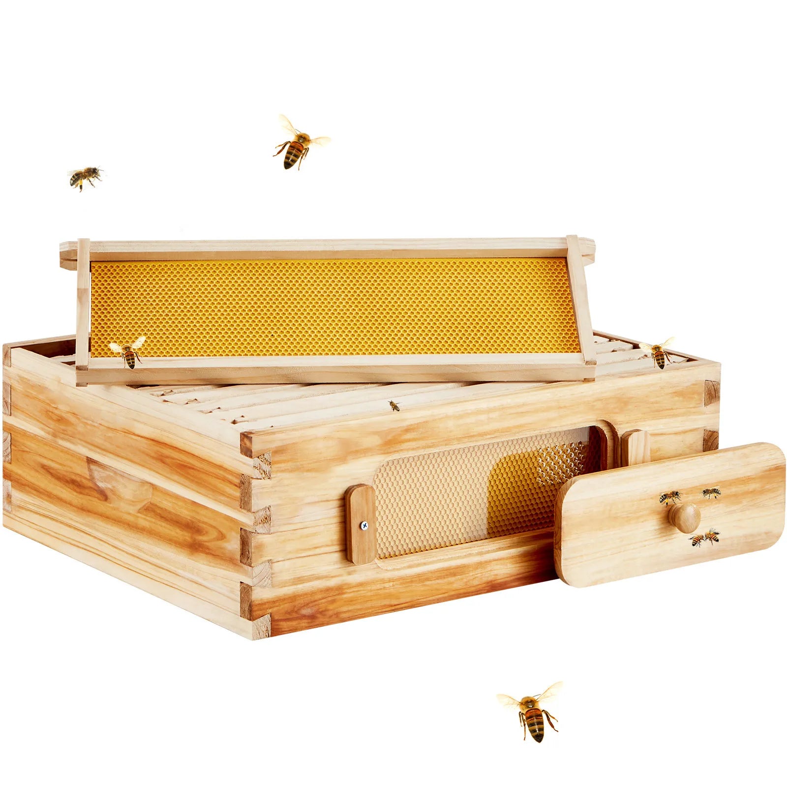 🍯 Langstroth Medium Beehive Kit – 10 Frames with Acrylic Observation Windows