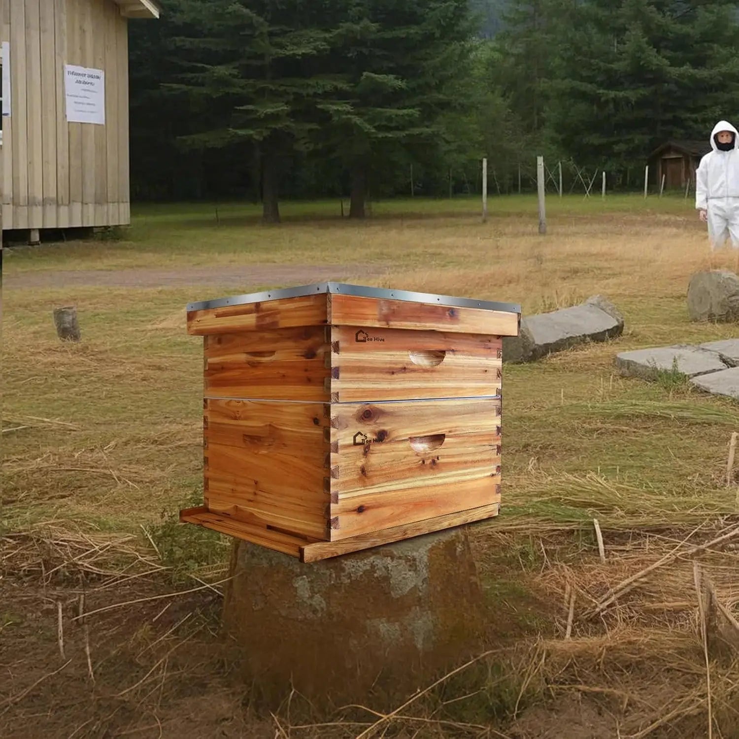 🍯 10-Frame Beehive Starter Kit – Wax-Coated with 1 Deep Brood Box & 1 Medium Super