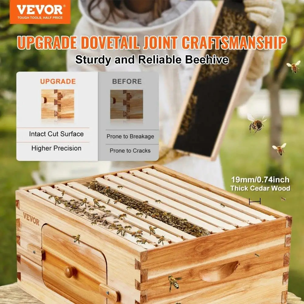 🍯 Deep Box Beehive Starter Kit – 100% Beeswax-Coated Cedar Wood with 10 Frames & Transparent Windows
