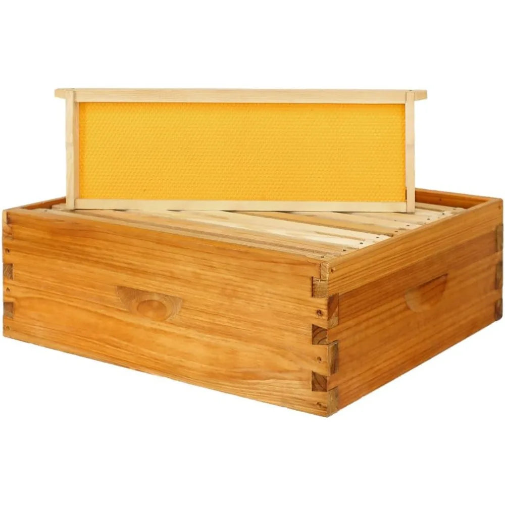 🍯 Medium 8-Frame Beehive Box – Wax-Dipped Frames & Foundation