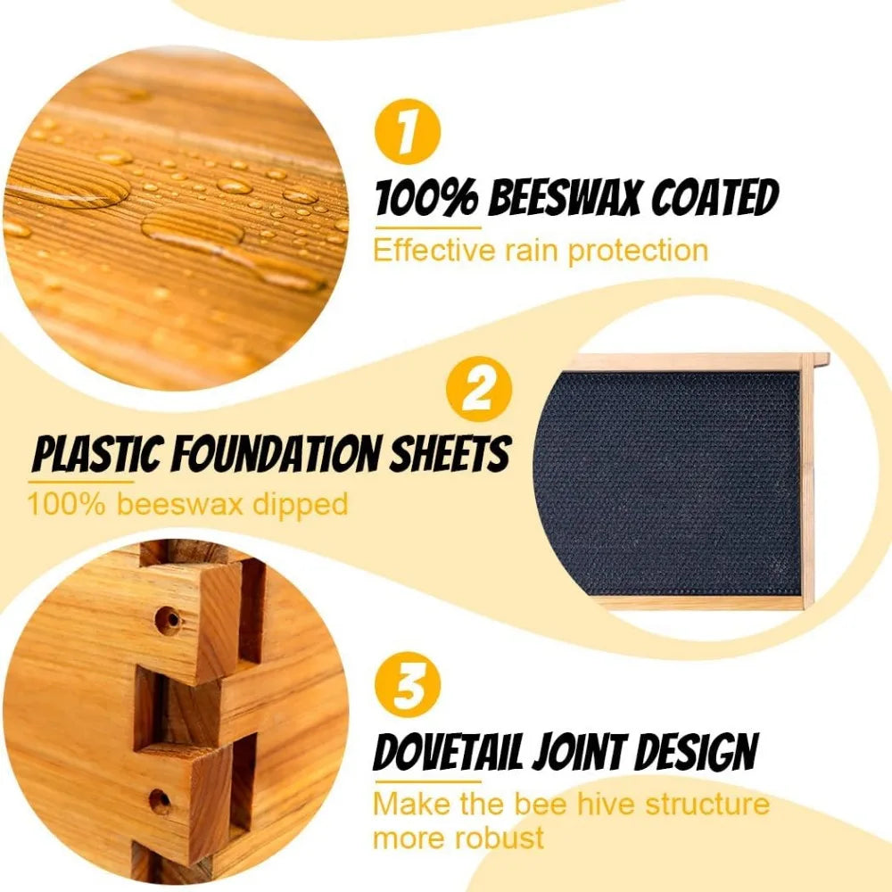 🍯 Honey Lake 10-Frame Langstroth Beehive Kit – Wax-Coated with Observation Windows