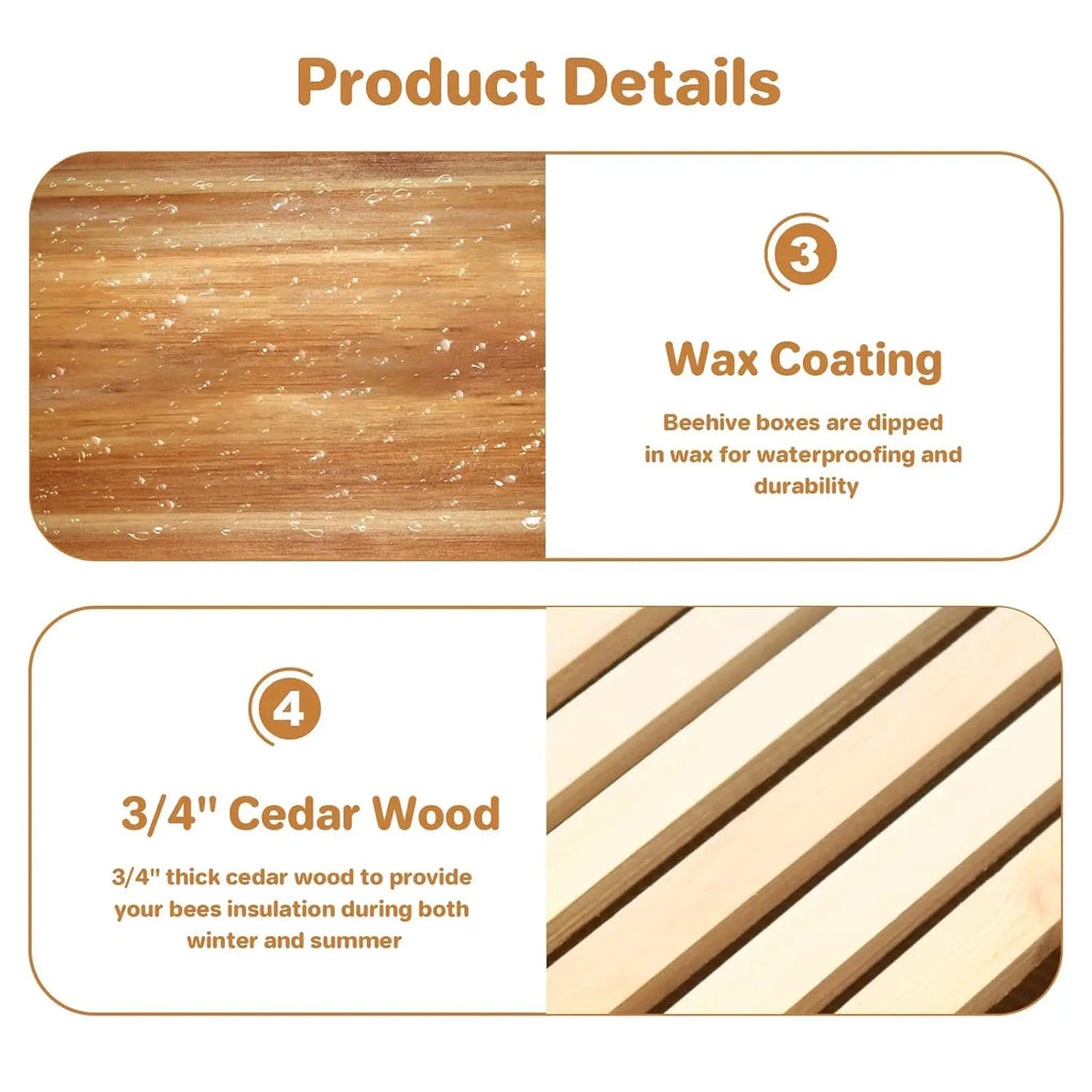 🍯 10-Frame Beehive Starter Kit – Wax-Coated with 1 Deep Brood Box & 1 Medium Super